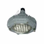 Forestfrog Series LED