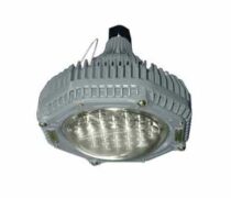 Forestfrog Series LED